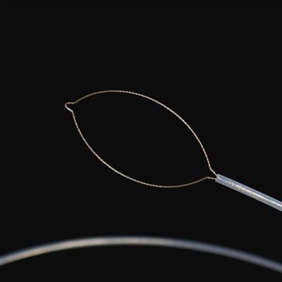 Fortes corporais estranxeiros tipo mandíbula